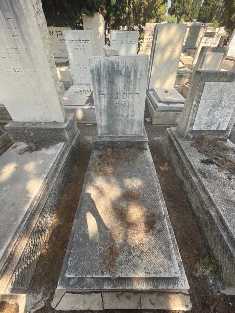 קברו של רחל נטר