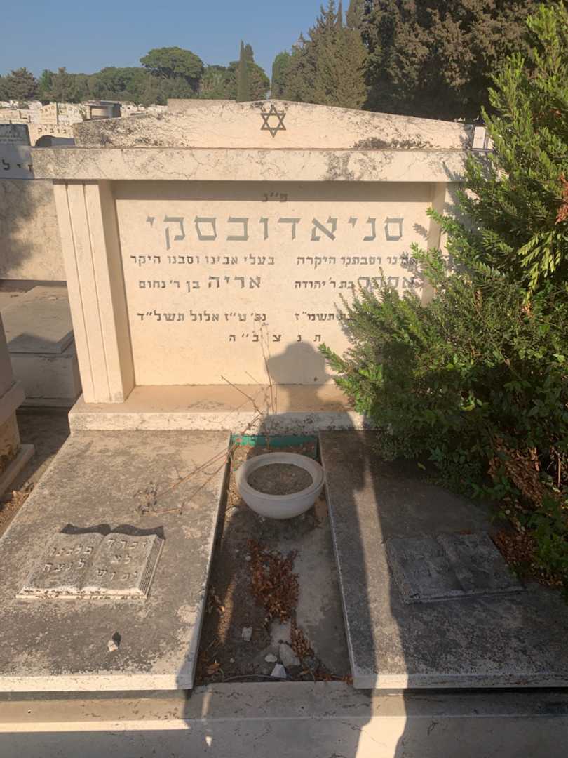 קברו של אסתר סניאדובסקי. תמונה 3