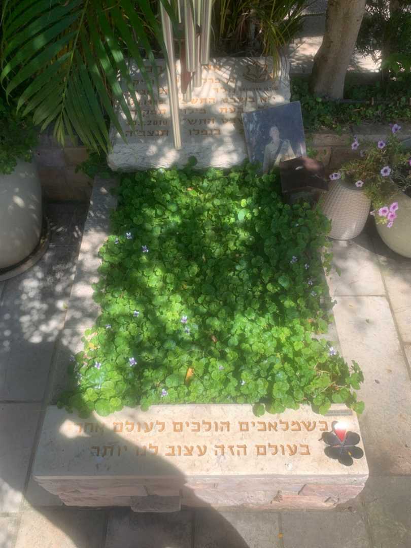 קברו של אלון שחם. תמונה 1