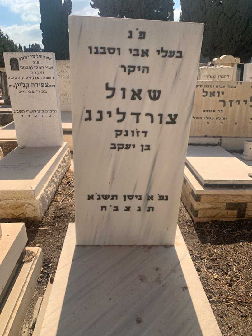 קברו של שאול צורדלינג. תמונה 1