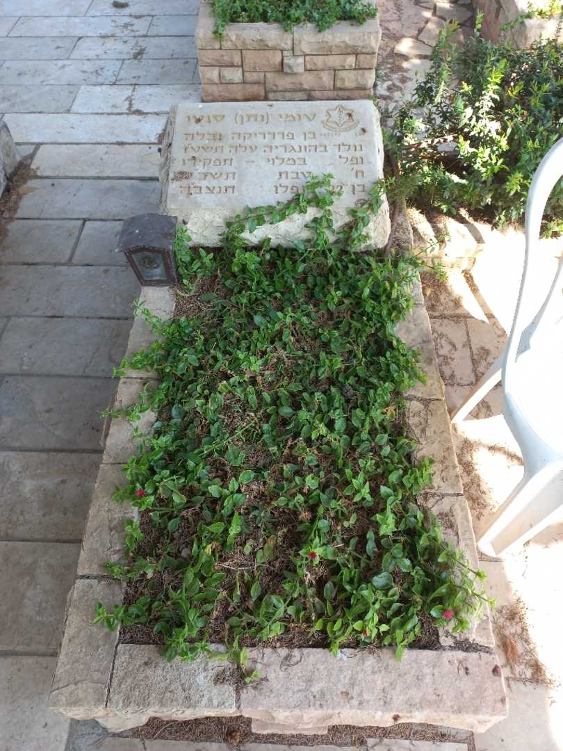 קברו של טומי "נתן" סוטו