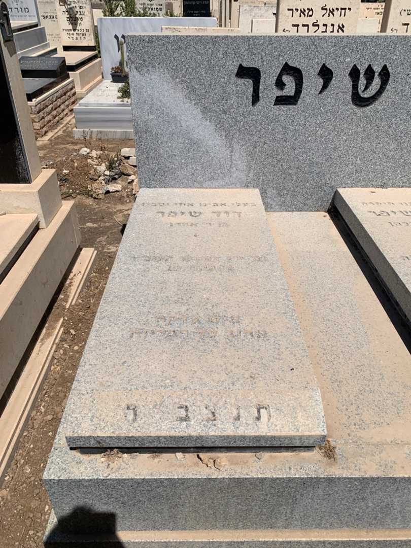 קברו של דוד שיפר. תמונה 2