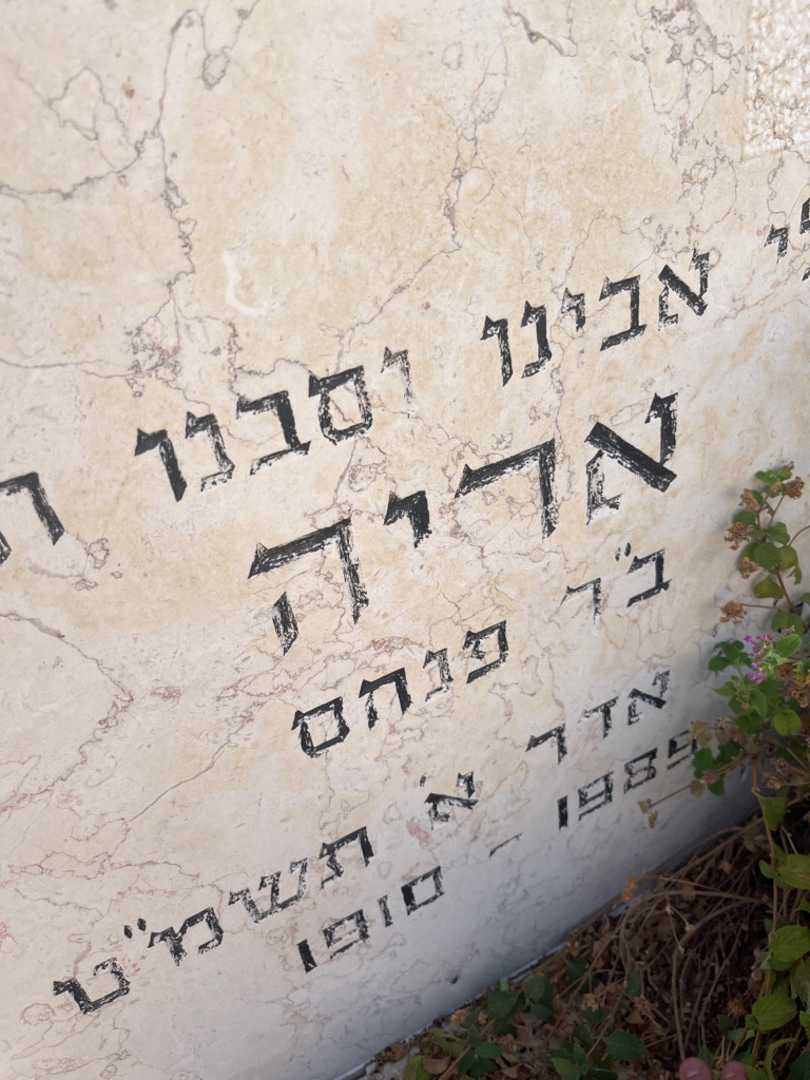 קברו של אריה קנדל. תמונה 2