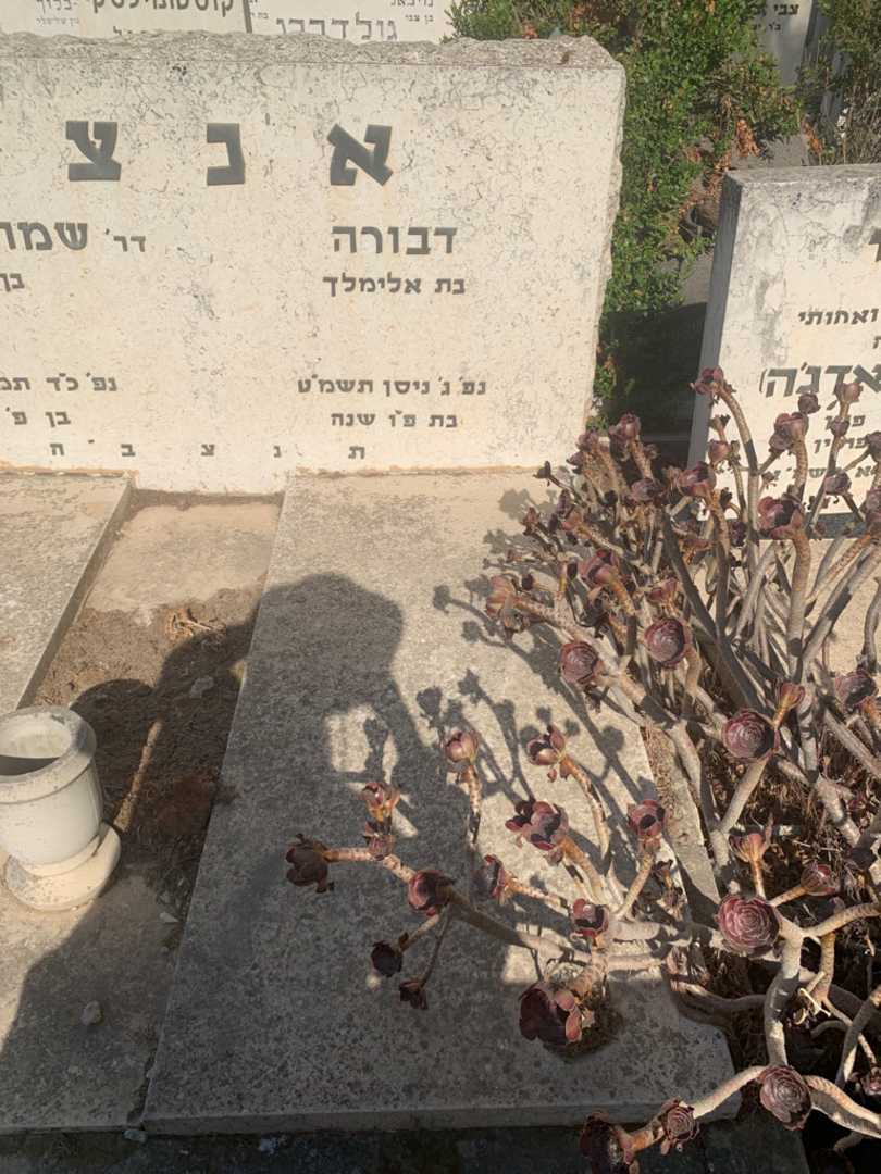 קברו של דבורה אנצר. תמונה 1