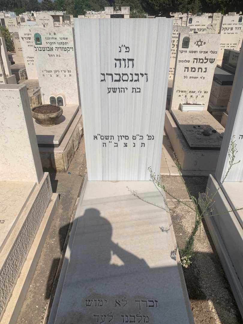 קברו של חוה ויגנסברג. תמונה 1