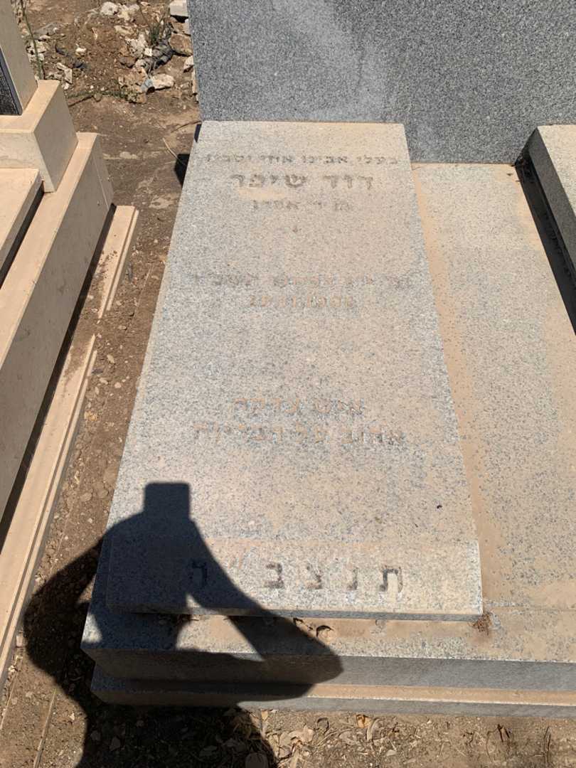 קברו של דוד שיפר. תמונה 3