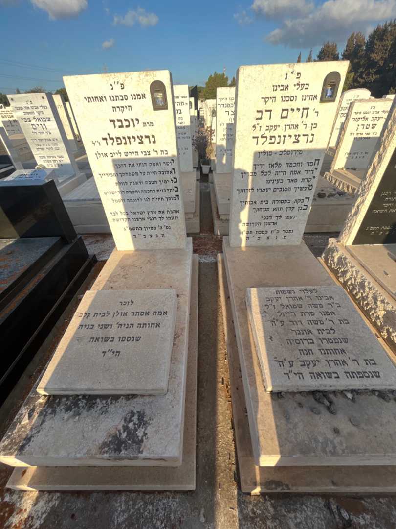 קברו של משה דוד אונגר. תמונה 1