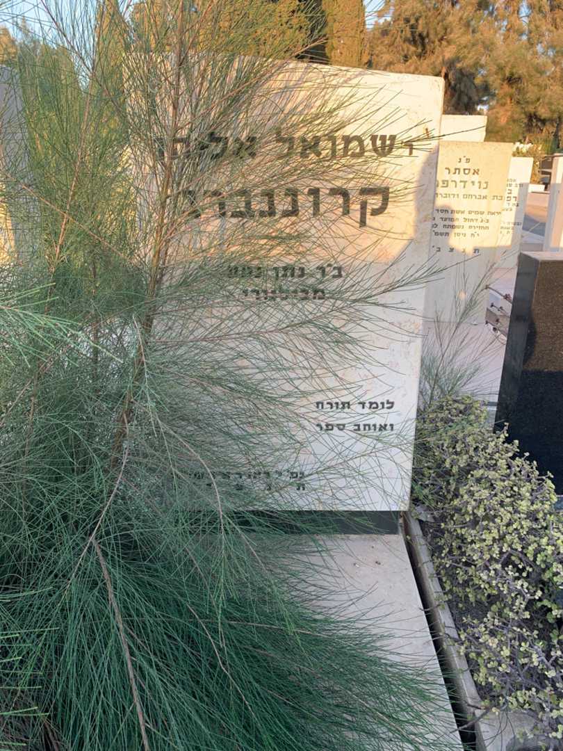קברו של שמואל אליהו קרוננברג. תמונה 1