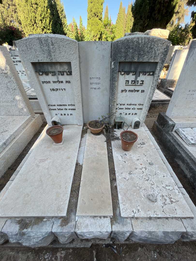 קברו של בנימין פישלר בומה. תמונה 2