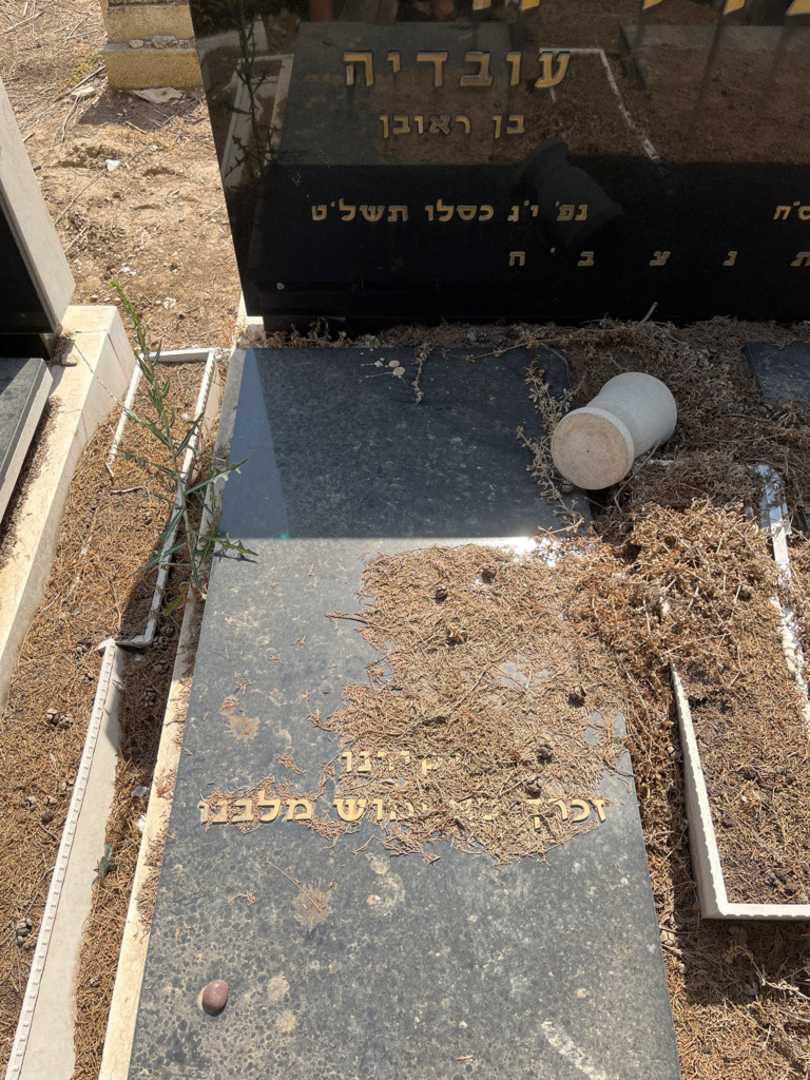 קברו של עובדיה דבורה. תמונה 1