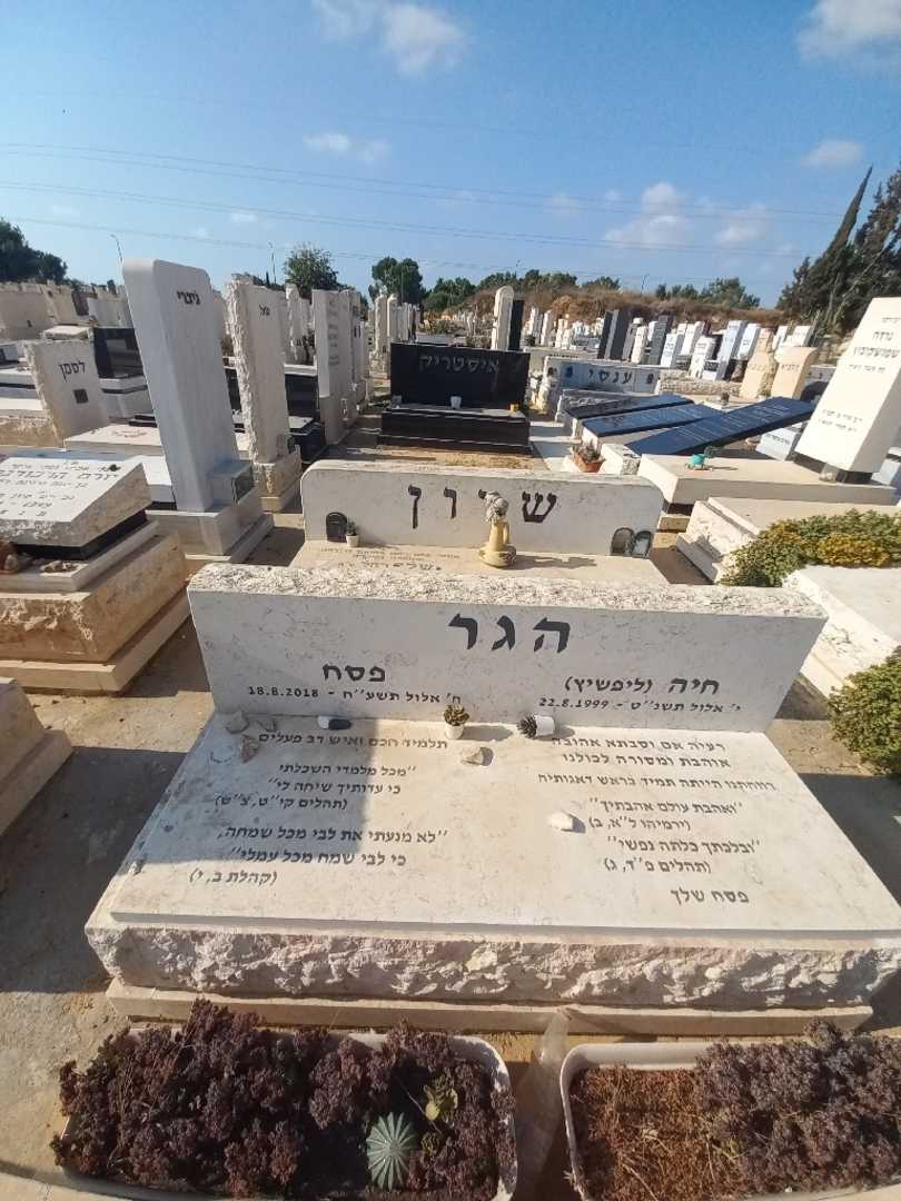 קברו של חיה "ליפשיץ" הגר