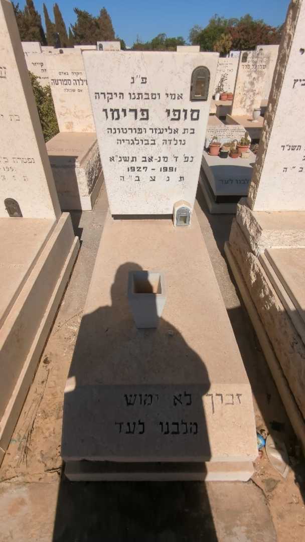 קברו של סופי פרימו