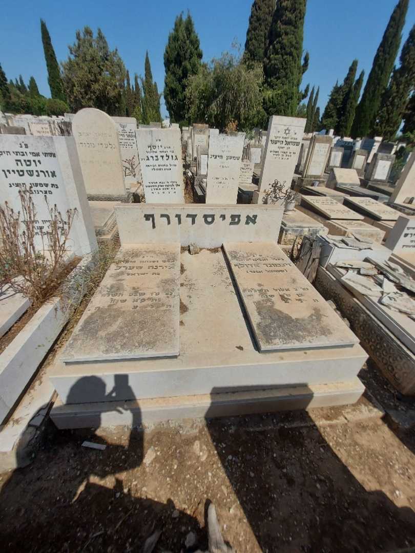 קברו של זיגמונד אדולף "שמואל אבנר" אפיסדורף. תמונה 2