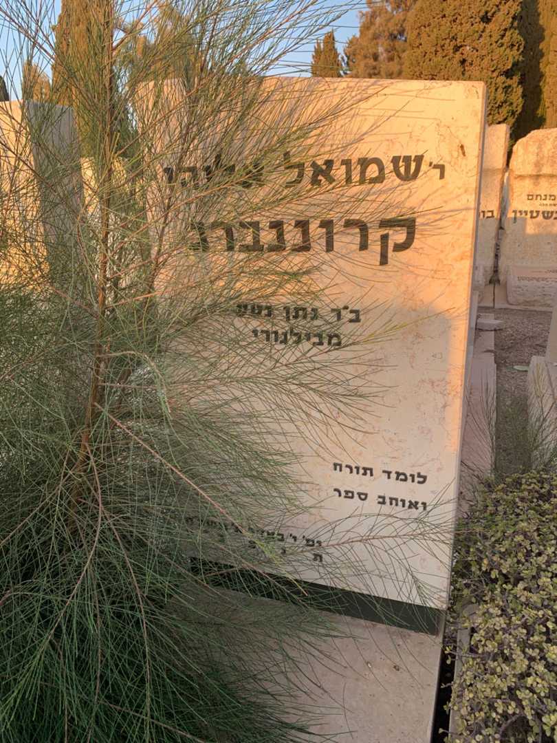 קברו של שמואל אליהו קרוננברג. תמונה 2