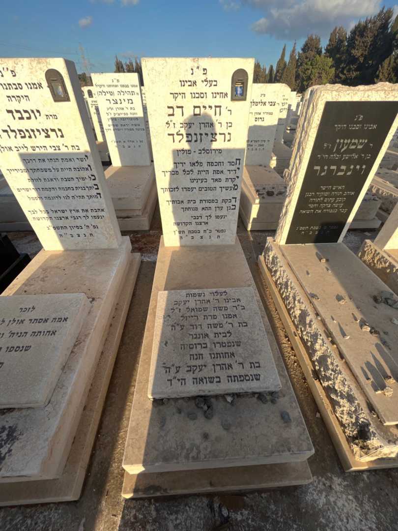 קברו של משה דוד אונגר. תמונה 2