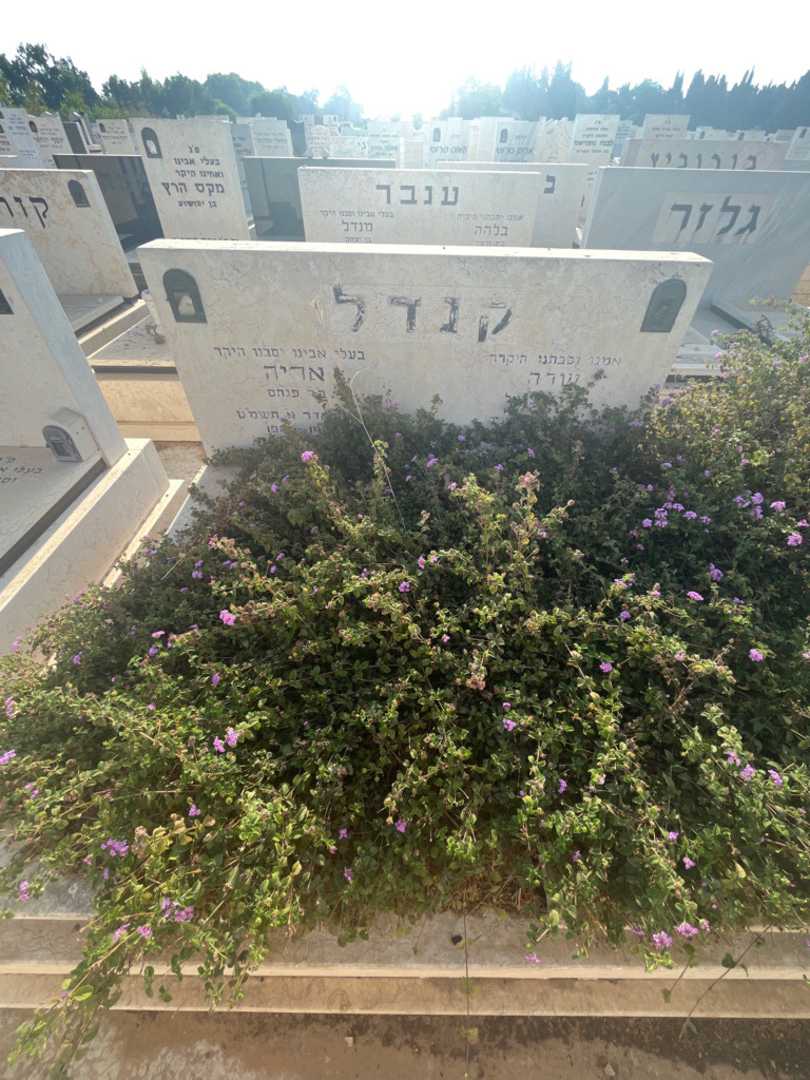 קברו של אריה קנדל. תמונה 3