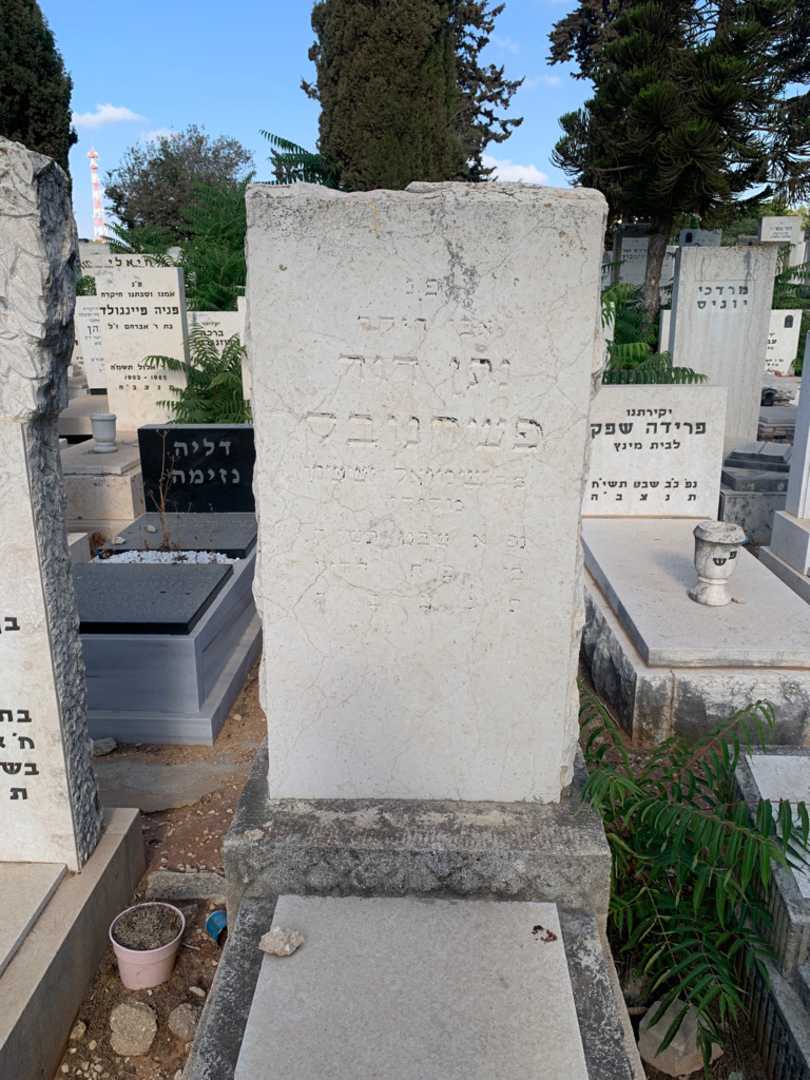 קברו של נתן דוד פשדנובק