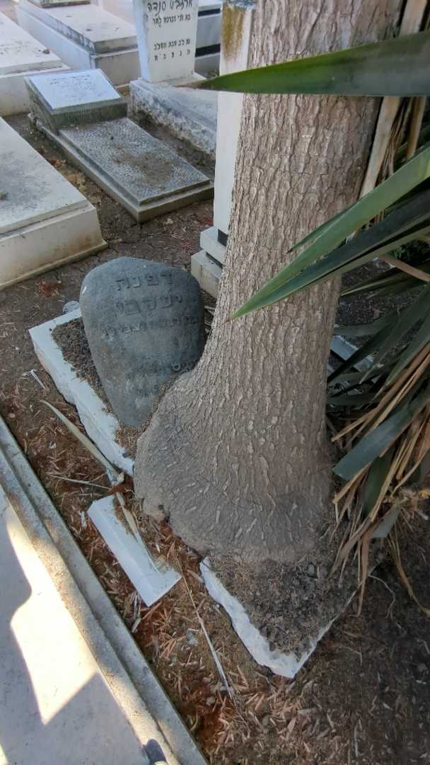 קברו של דפנה יעקבי