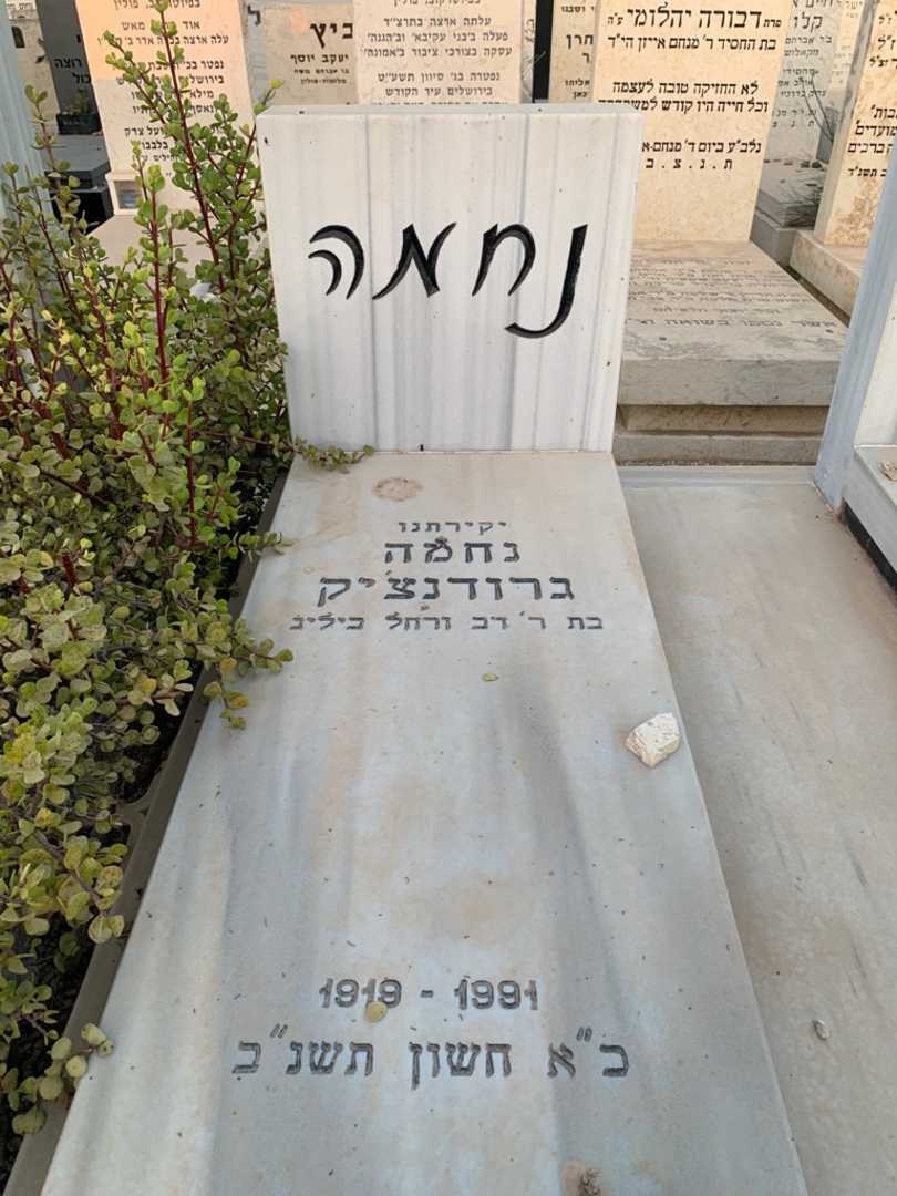 קברו של נחמה גרודנצ׳יק. תמונה 2