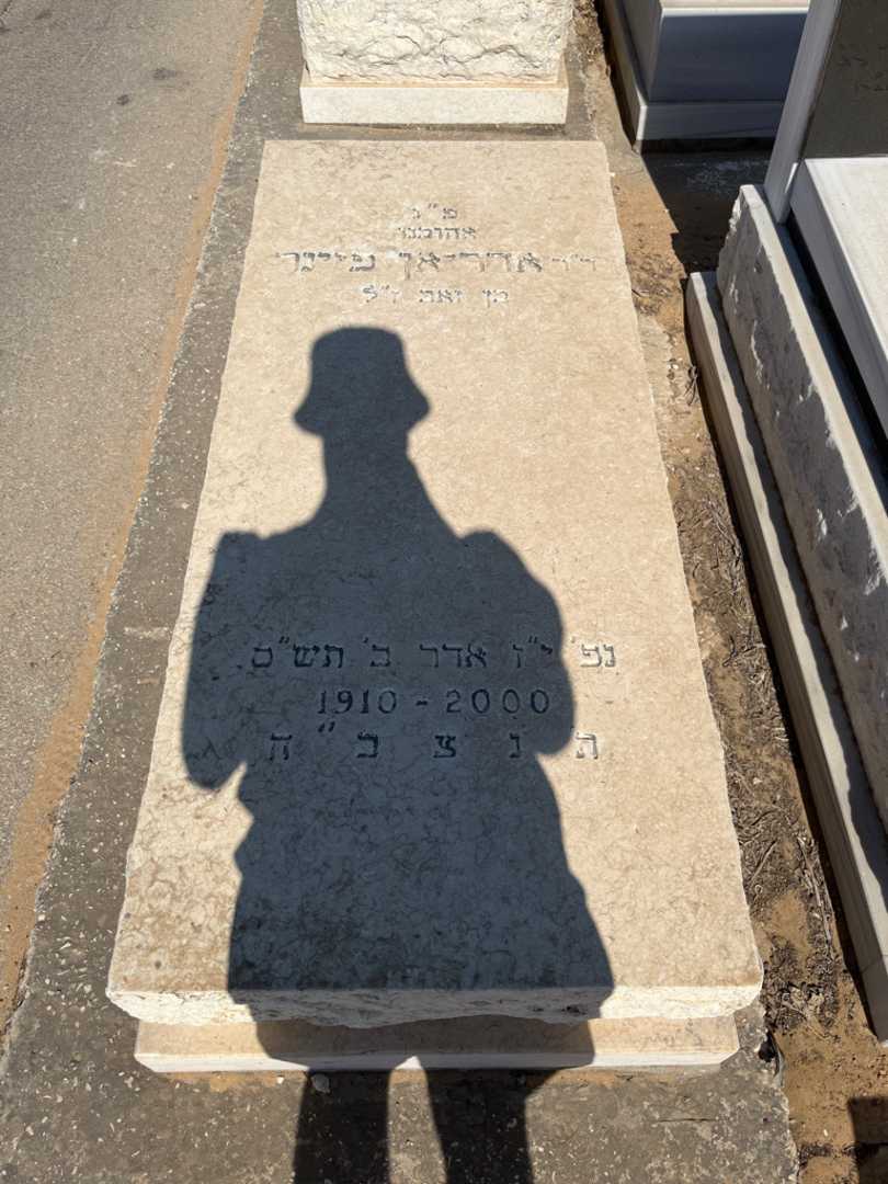 קברו של אדר-אן פיינר