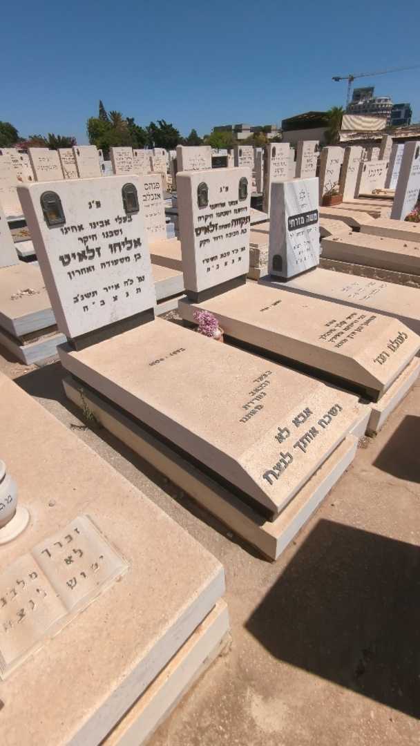 קברו של אליהו זלאיט. תמונה 2