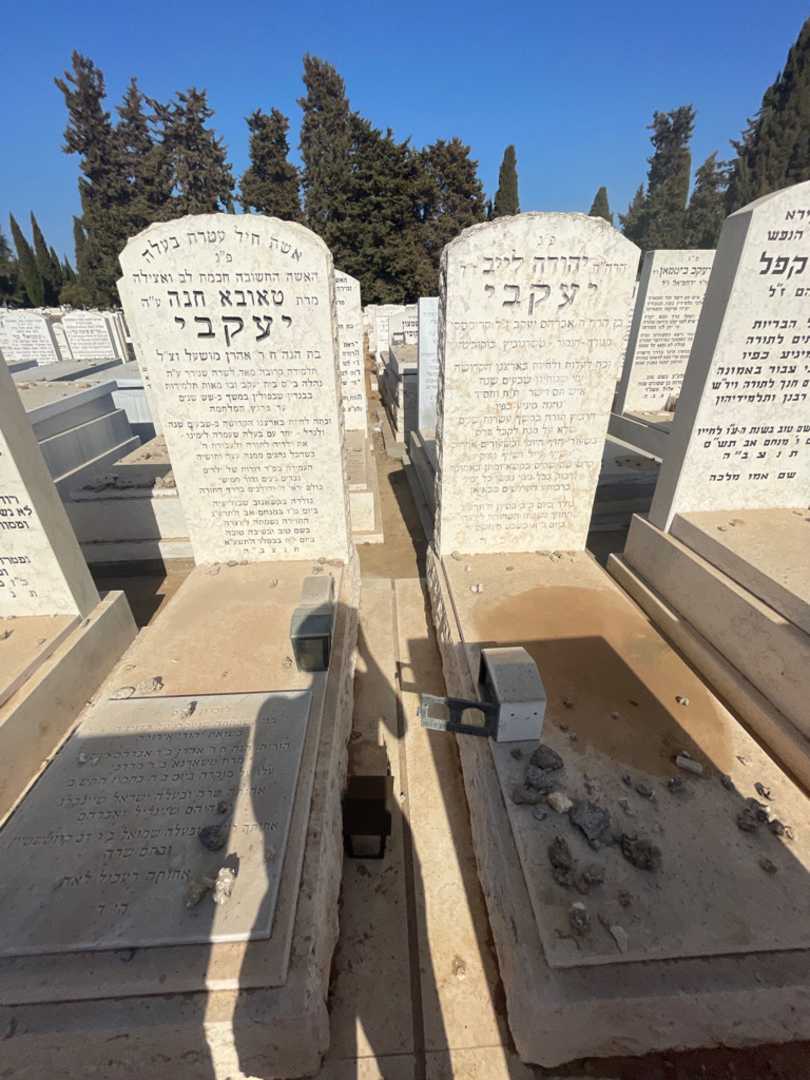 קברו של ישראל שיינברג. תמונה 1
