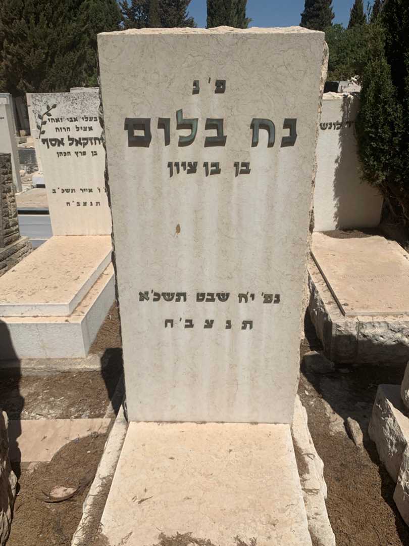 קברו של נח בלום