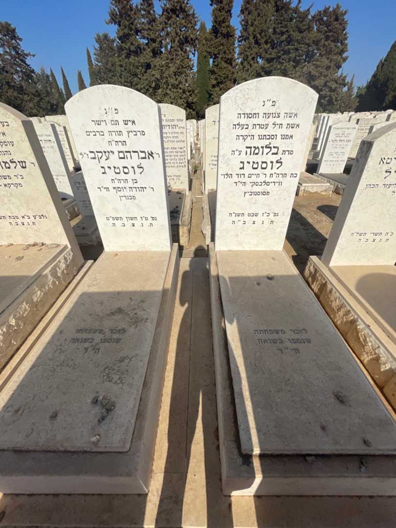 קברו של אברהם יעקב לוסטיג. תמונה 1