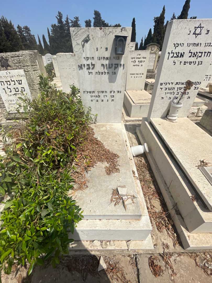 קברו של ויקטור לביא