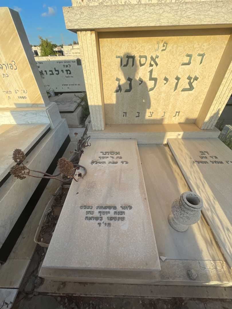 קברו של יוסף נתן נצלס. תמונה 2