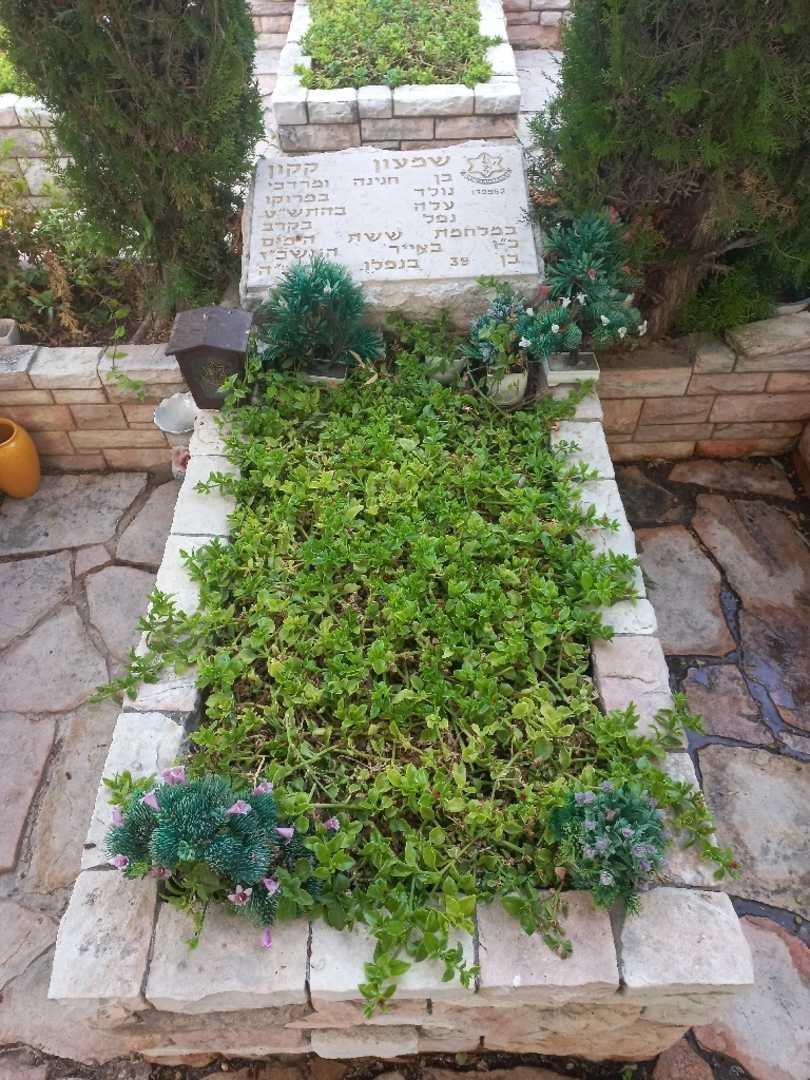 קברו של שמעון קקון