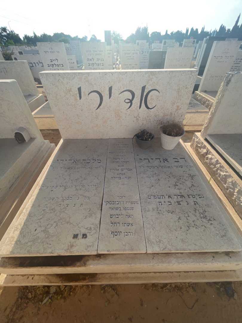 קברו של צירל כצמן. תמונה 2