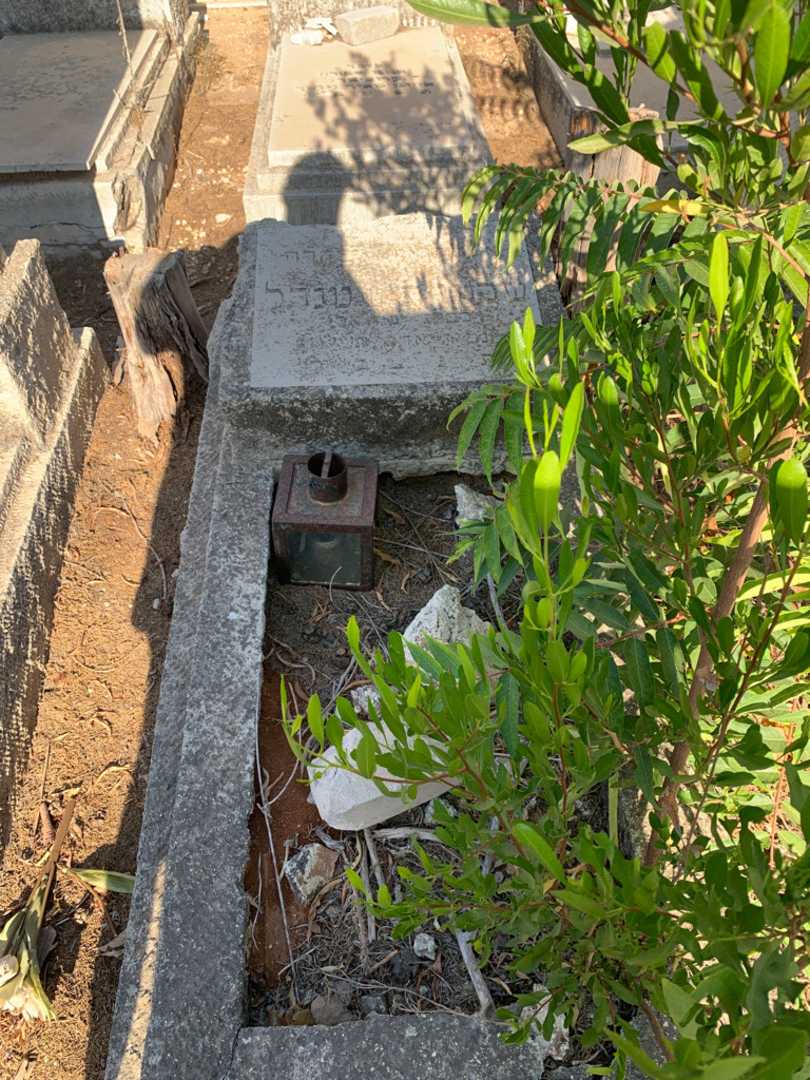 קברו של שלומית שטנדל. תמונה 1