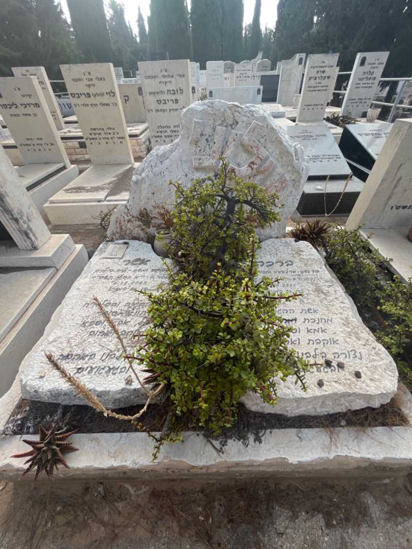 קברו של ברכה שילוני. תמונה 2