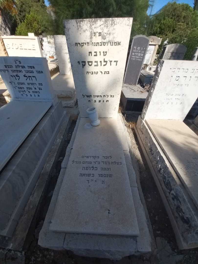 קברו של טובה דז'לובסקי