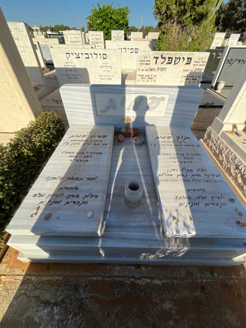 קברו של עדה עמית. תמונה 2