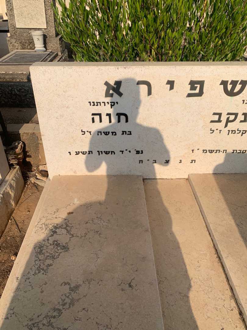 קברו של חוה שפירא. תמונה 2