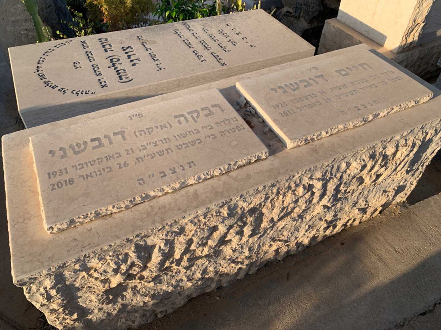קברו של חיים דובשני