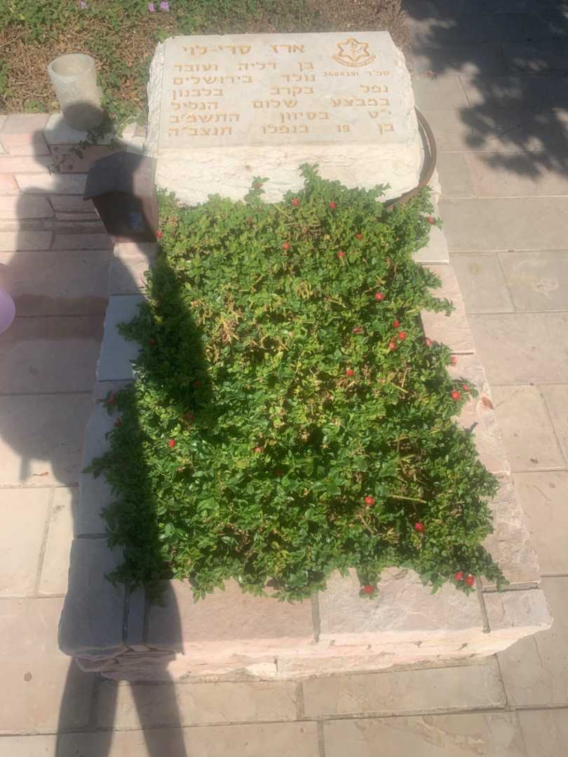 קברו של ארז סרי-לוי