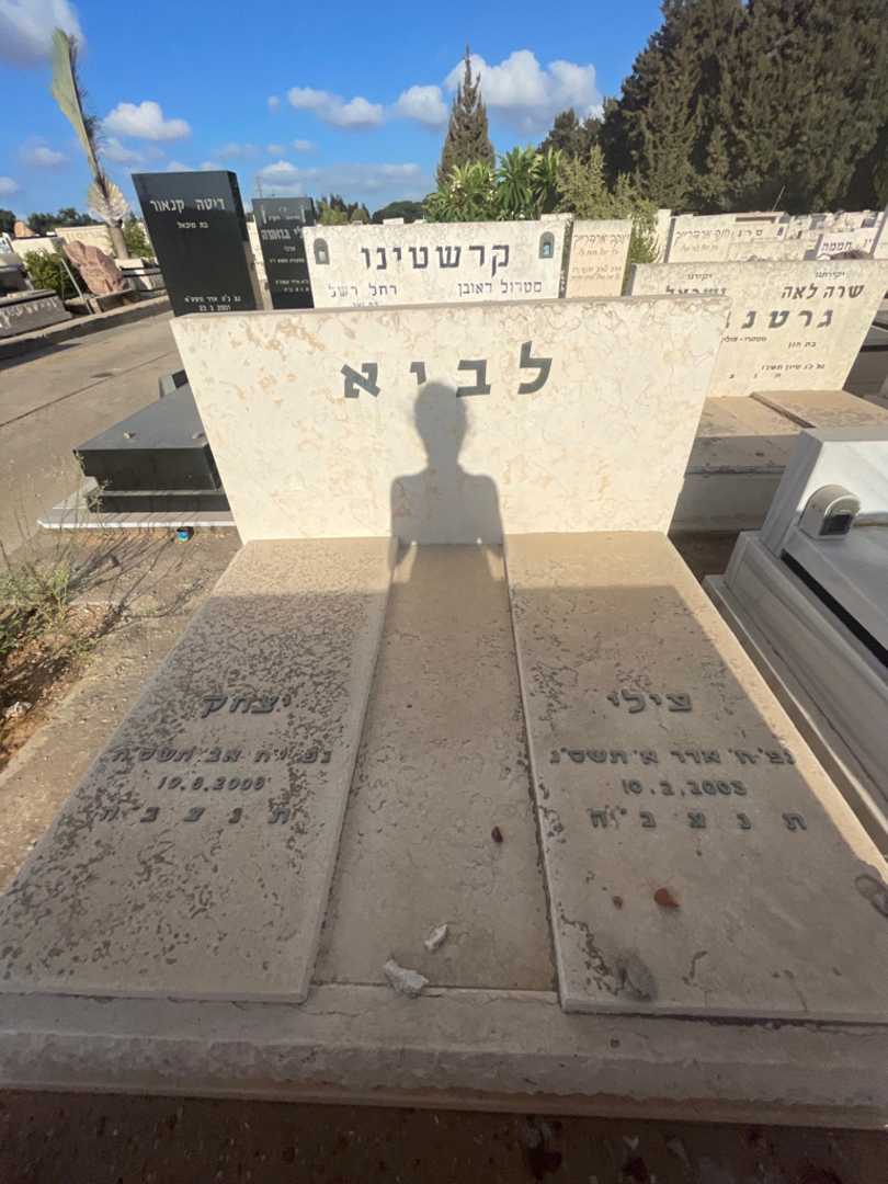 קברו של צילי לביא. תמונה 1