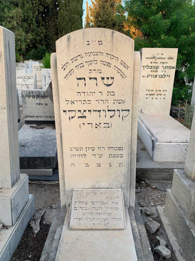 קברו של אברהם צדוק