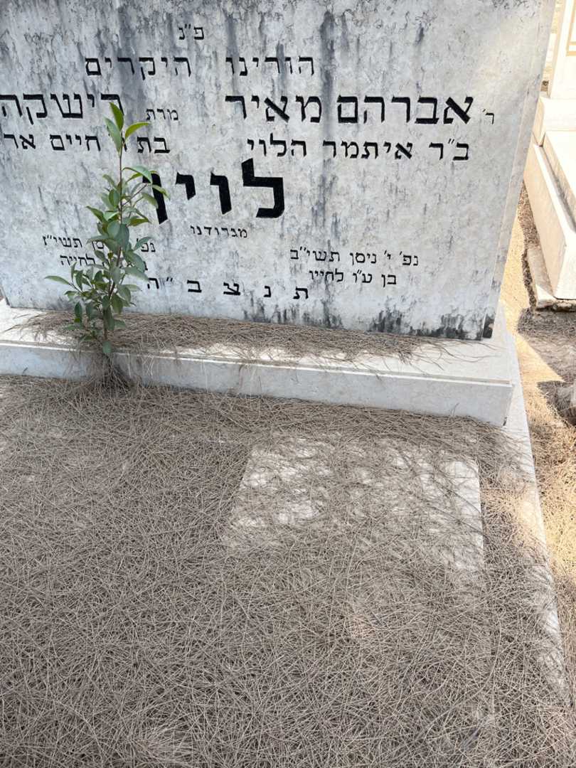 קברו של אברהם מאיר לוין. תמונה 1