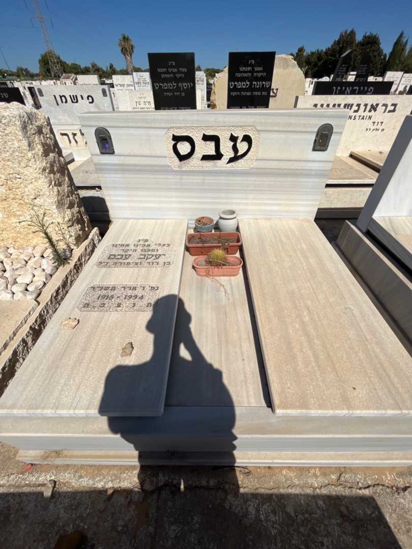 קברו של יעקב עבס. תמונה 2