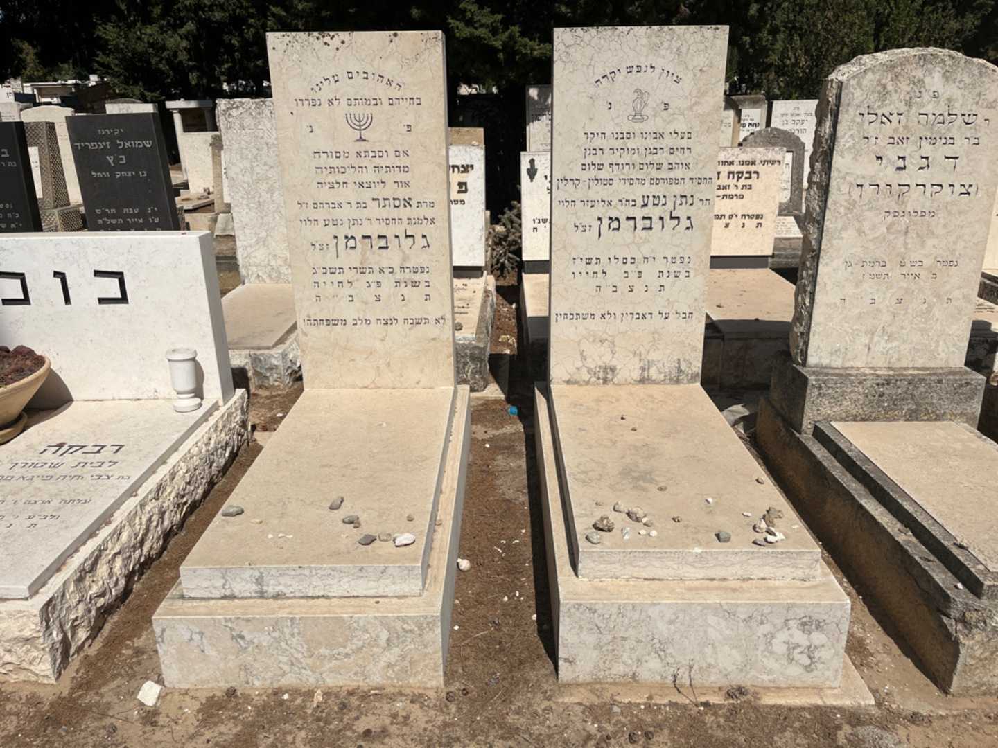 קברו של נתן נטע גלוברמן. תמונה 2