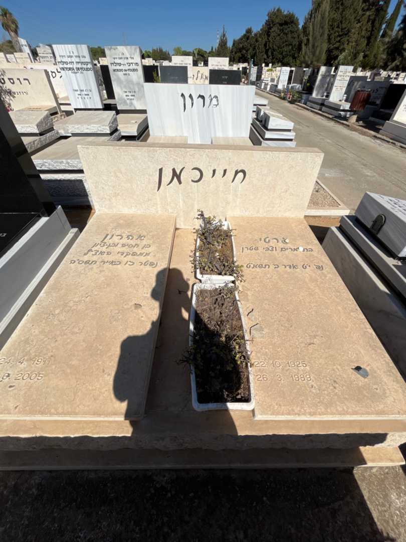 קברו של אהרון חייכמן. תמונה 1