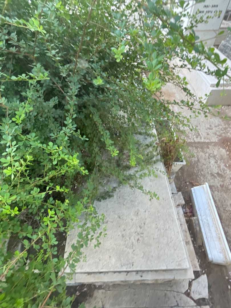 קברו של אברהם שמעון קיפר. תמונה 1