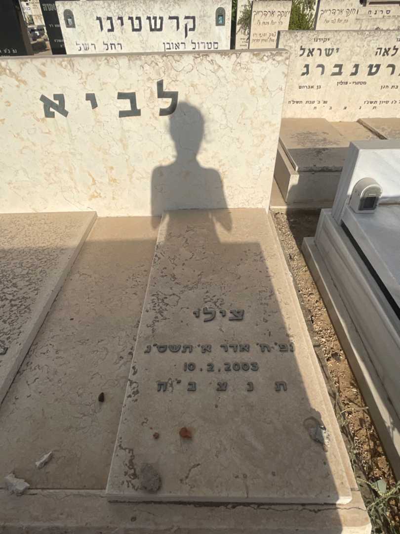 קברו של צילי לביא. תמונה 2