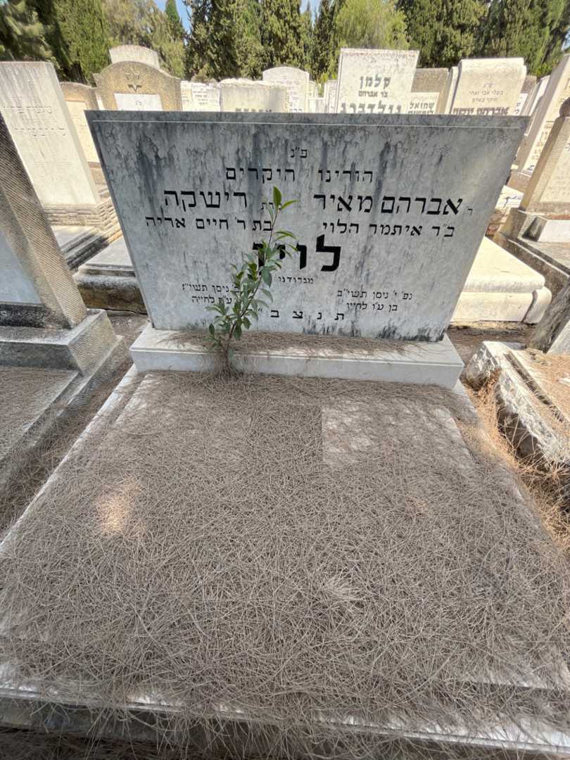 קברו של אברהם מאיר לוין. תמונה 2