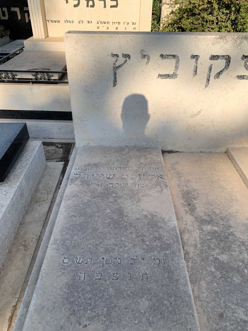 קברו של אליזבט שיינדל איצקוביץ. תמונה 2