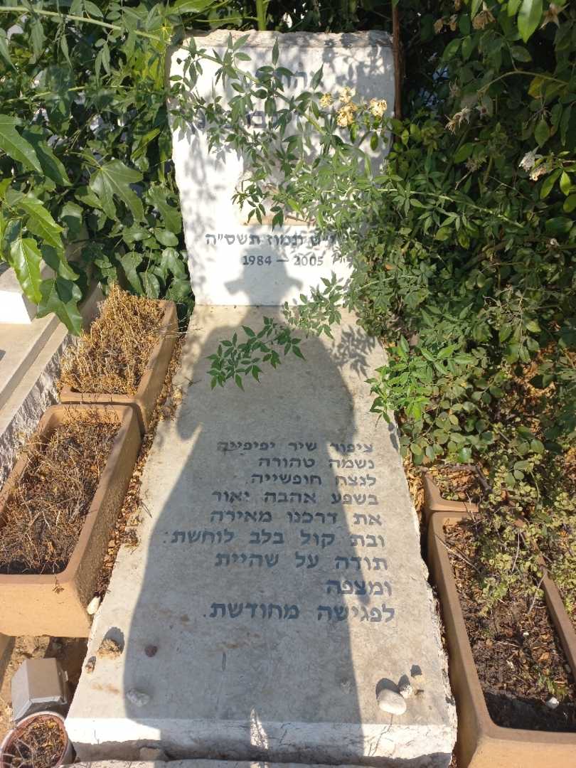 קברו של ליאור זילברמינץ. תמונה 1